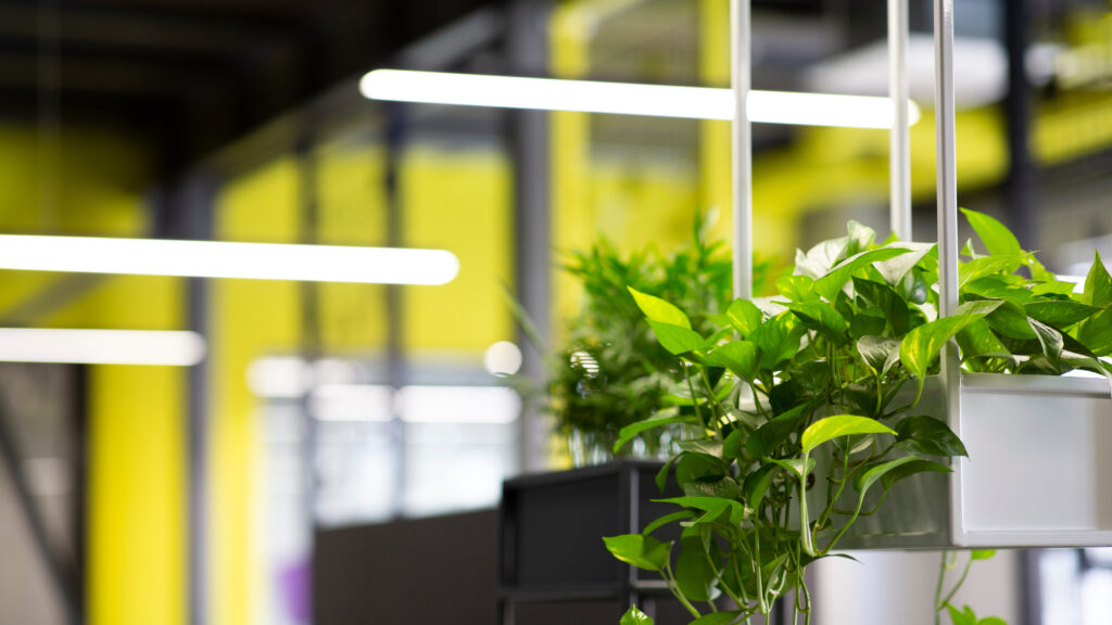 Claim Back on Prior Energy Usage